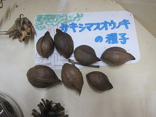 d0031853_1542951.jpg