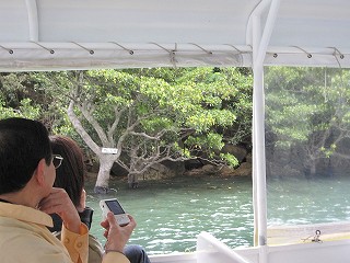 d0031853_1575810.jpg