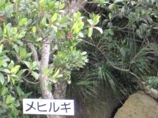 d0031853_1591979.jpg