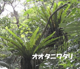 d0031853_221226.jpg