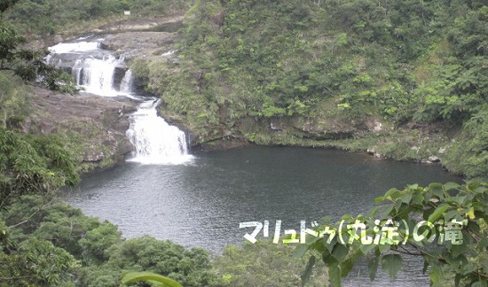 d0031853_224837.jpg