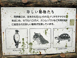 d0031853_2265871.jpg