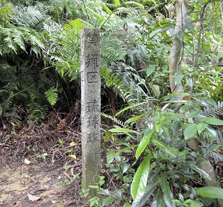 d0031853_2331213.jpg