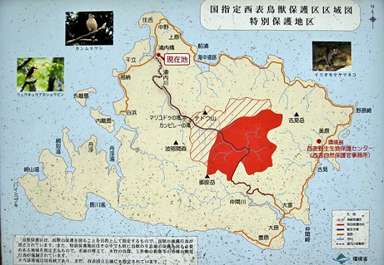 d0031853_242311.jpg