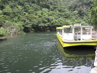 d0031853_25528.jpg