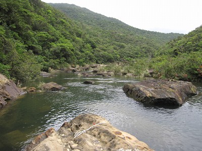 d0031853_285710.jpg
