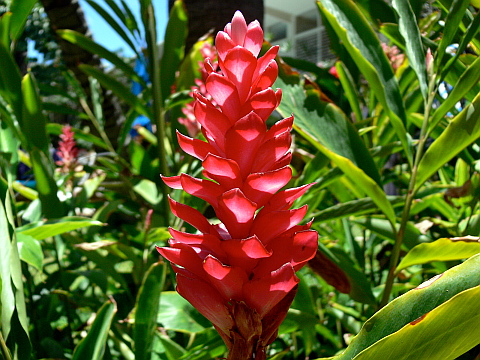 e0050753_2320137.jpg