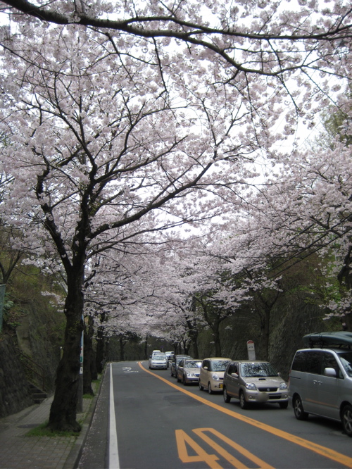 f0191656_175173.jpg