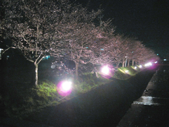 c0026558_2046588.jpg