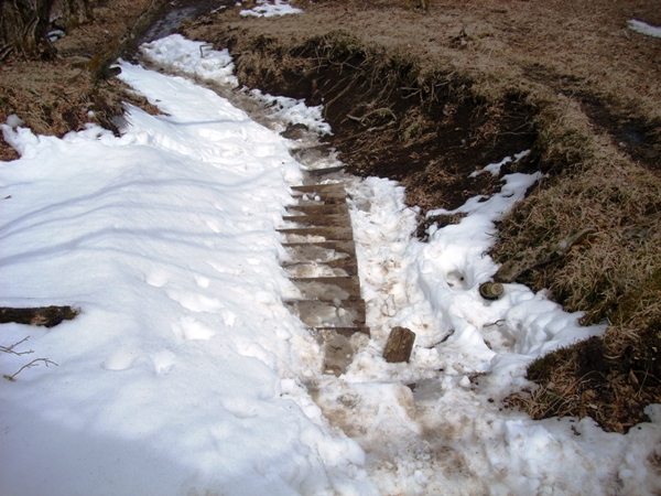 f0156158_2344215.jpg
