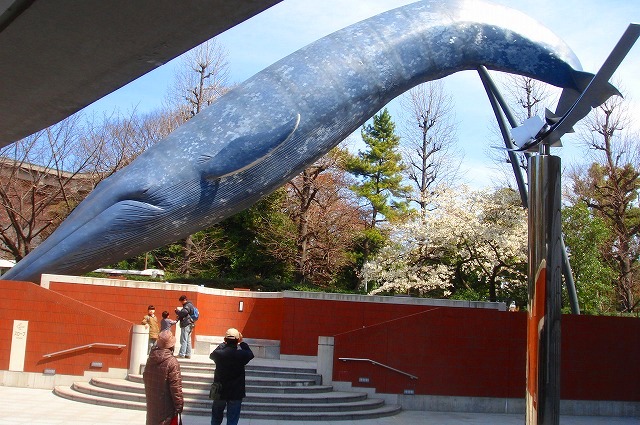 c0119160_42196.jpg