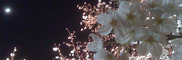 c0062361_23331290.jpg