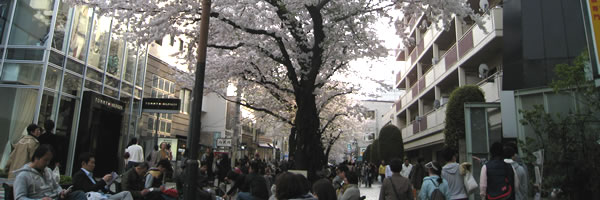 c0062361_23332142.jpg