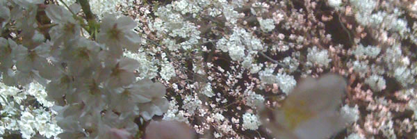 c0062361_23343268.jpg