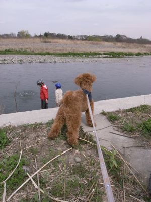 c0170761_177332.jpg