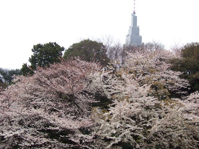 f0142862_13244462.jpg