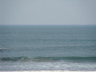 a0008364_2105556.jpg