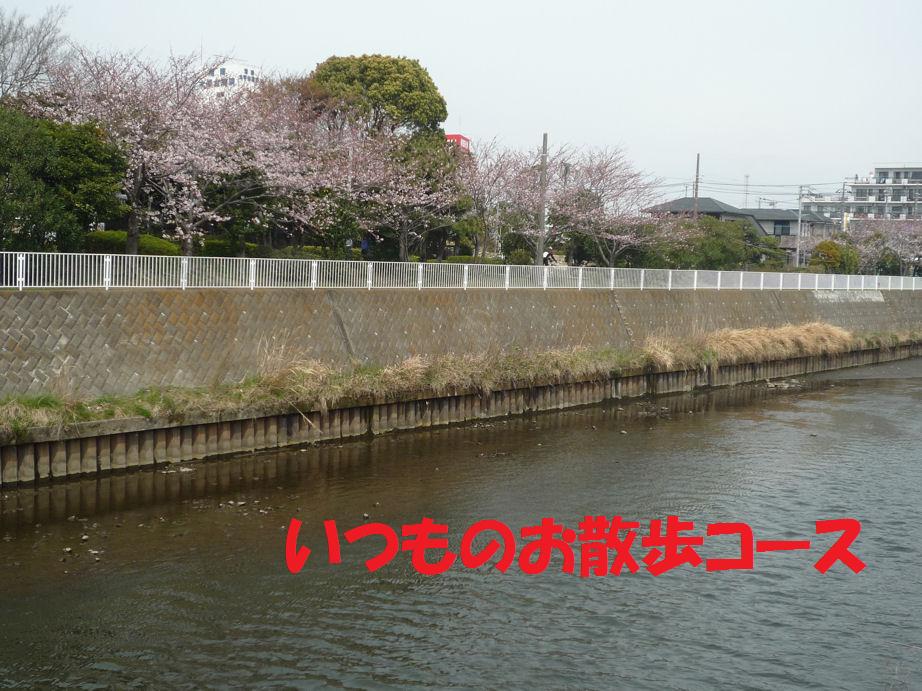 a0104464_11245240.jpg