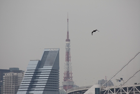 b0091164_16422819.jpg