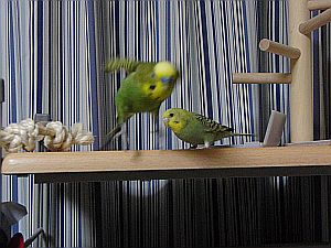 f0196665_0253384.jpg