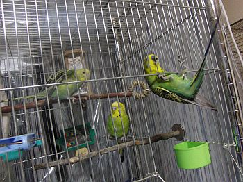 f0196665_0302547.jpg