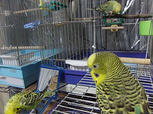 f0196665_041330.jpg