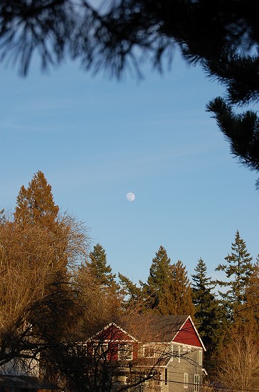 e0128367_13184677.jpg