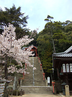 b0048571_22402339.jpg