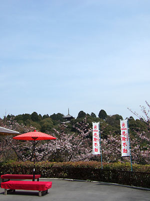 b0048571_22404742.jpg