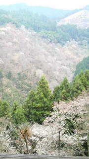 b0117276_22253475.jpg
