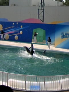 d0064076_17363955.jpg