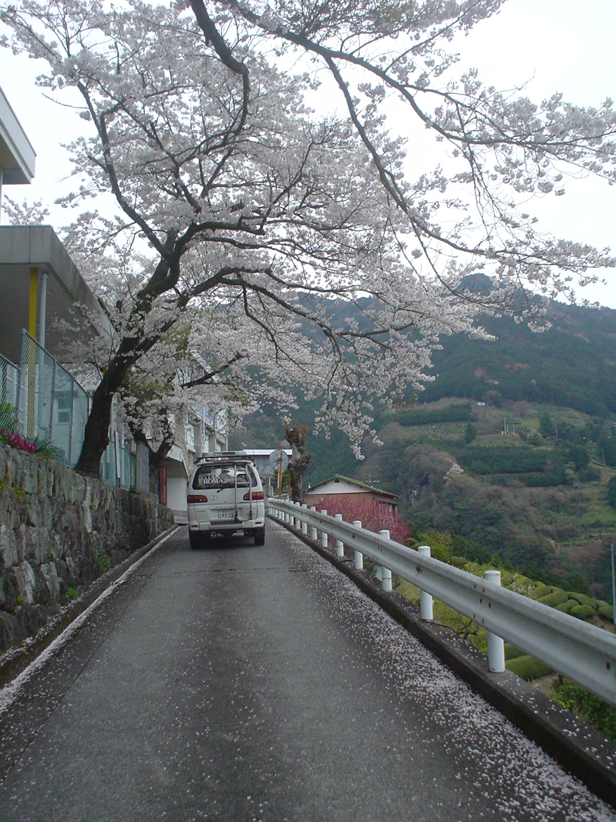 f0064278_22421050.jpg