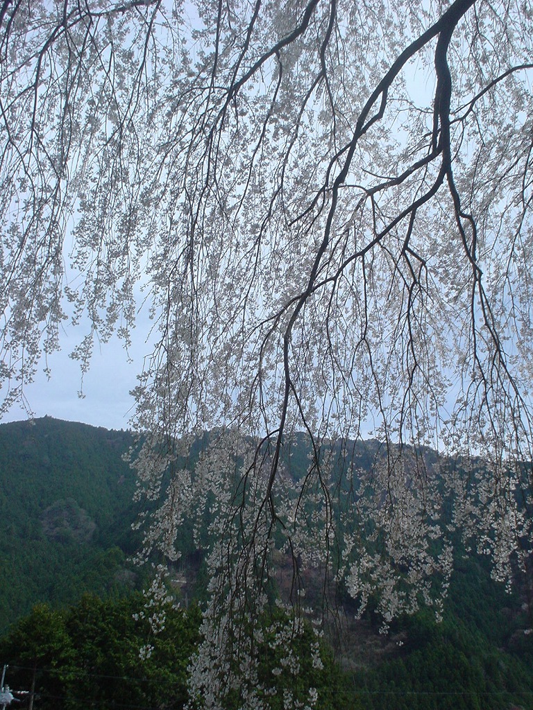 f0064278_22433170.jpg