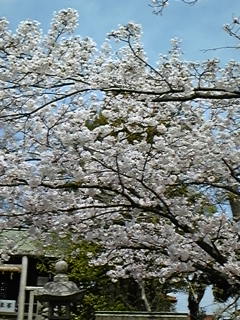 f0042382_23322740.jpg
