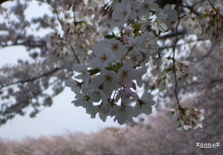 f0149482_23371175.jpg
