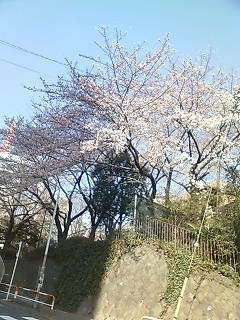 c0076383_2145491.jpg