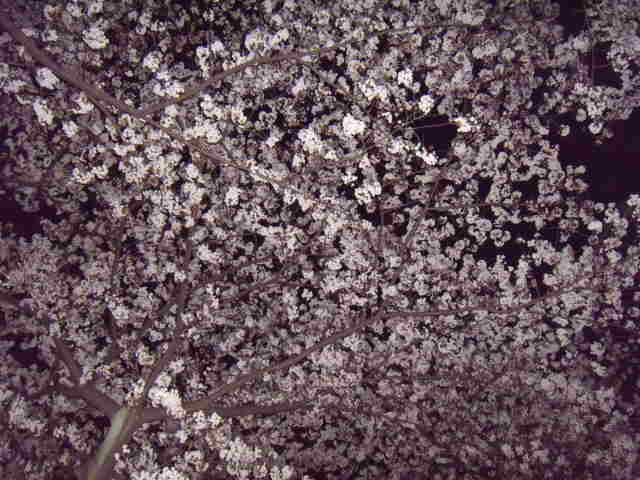 c0188784_17265316.jpg