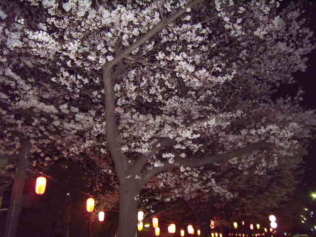 c0188784_17265887.jpg