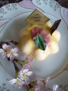 c0188784_17312695.jpg