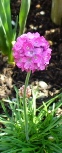 e0026586_153439.jpg