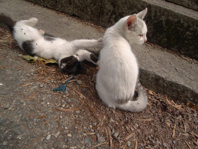 c0187587_22314448.jpg