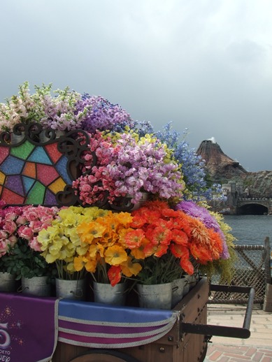 e0030488_12413.jpg