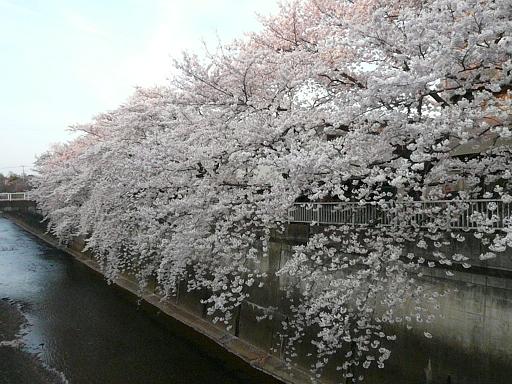 c0123890_20155530.jpg