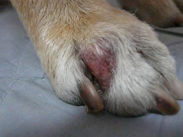 c0123890_2039409.jpg