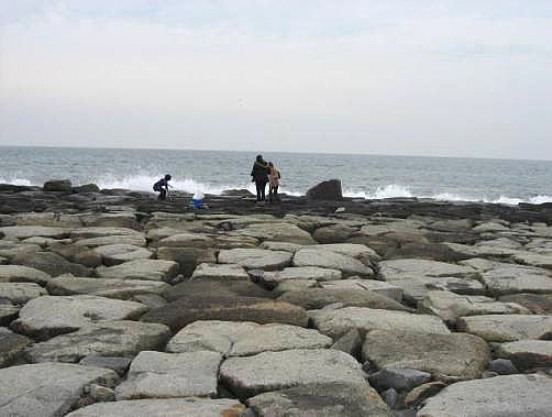 e0143690_20115919.jpg