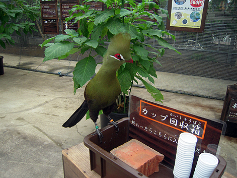 d0131293_1513128.jpg
