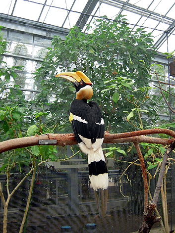 d0131293_151556.jpg