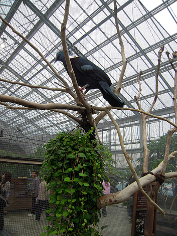 d0131293_1521364.jpg