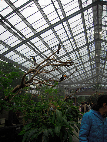 d0131293_1523262.jpg