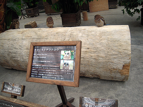 d0131293_153982.jpg